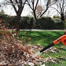 Cordless Blower 20V - 756722